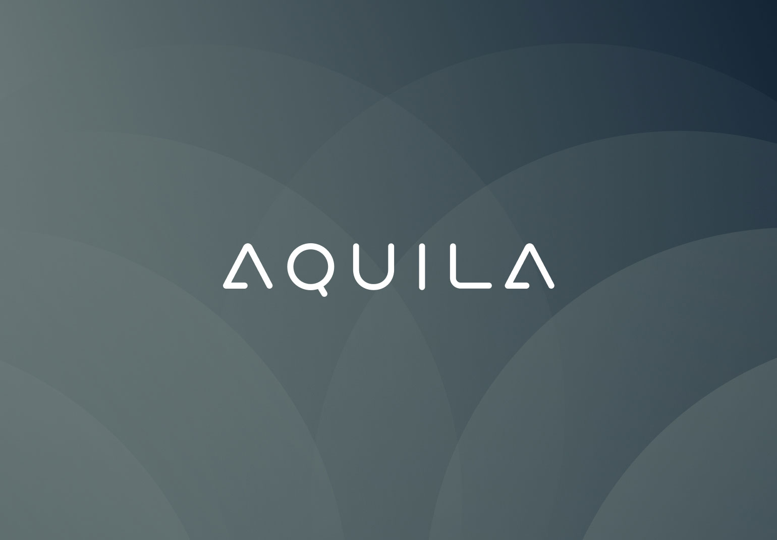 Aquila鸭脖超感系统